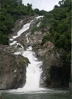 黎母山國家森林公園