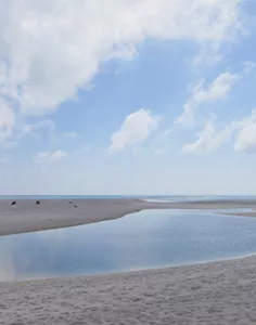 全富島