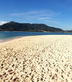 加井島