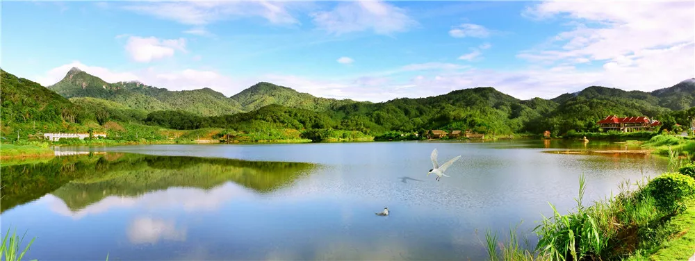 1501470528827008333.jpg 尖峰嶺國家森林公園天池湖畔