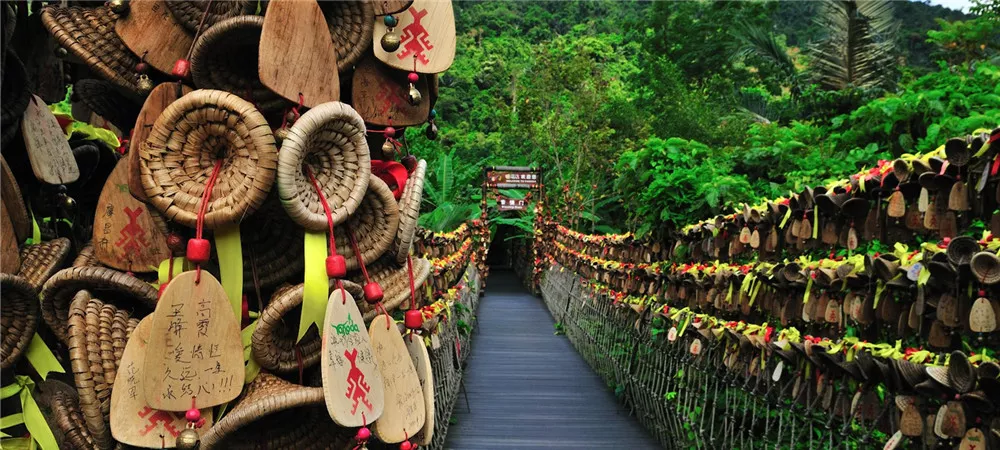 1513839034405055585.jpg 海南呀諾達雨林文化旅游區