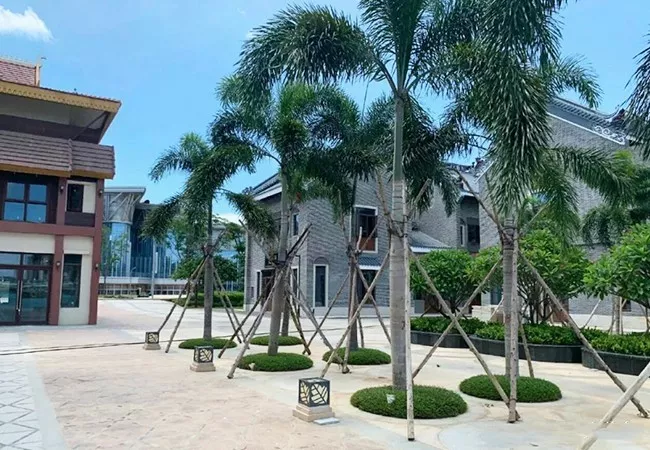 風情美食街實景圖