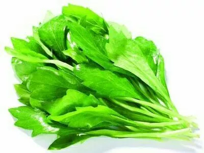 五指山野菜