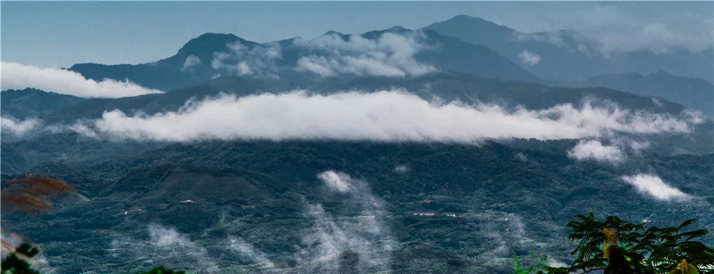 瓊中黎母山國家森林公