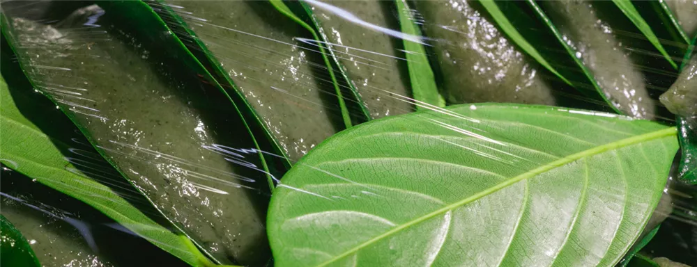 鮮椰絲益母草粑